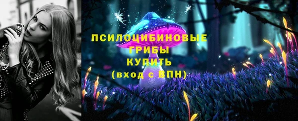 сатива Медвежьегорск