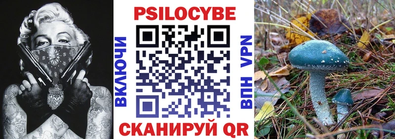Галлюциногенные грибы Psilocybe  где купить   Орск 